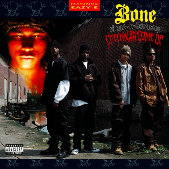 Meet your Posher, Dexter - Picture 1 of 1